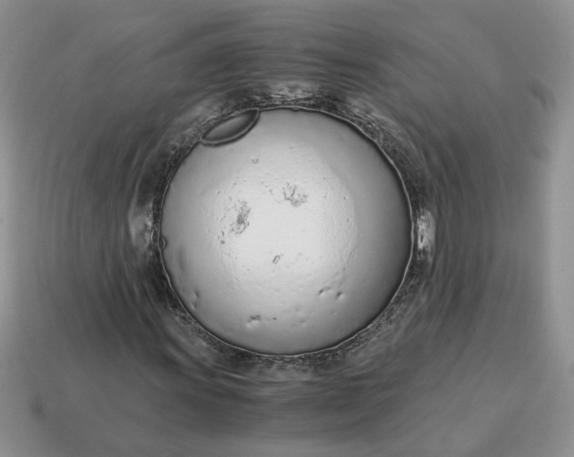 X0000114601011200911091313