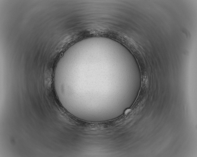 X0000114601012200911091313