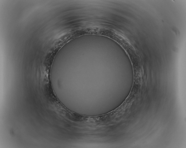 X0000114601013200911091313