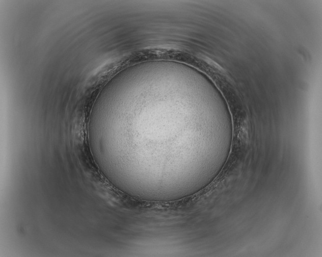 X0000114601014200911091313