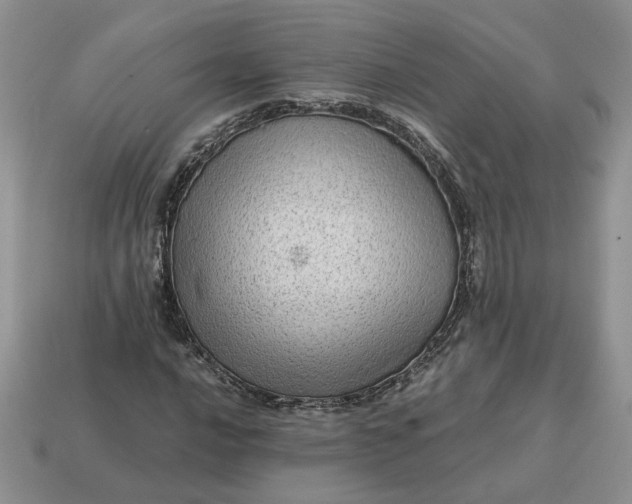 X0000114601016200911091313