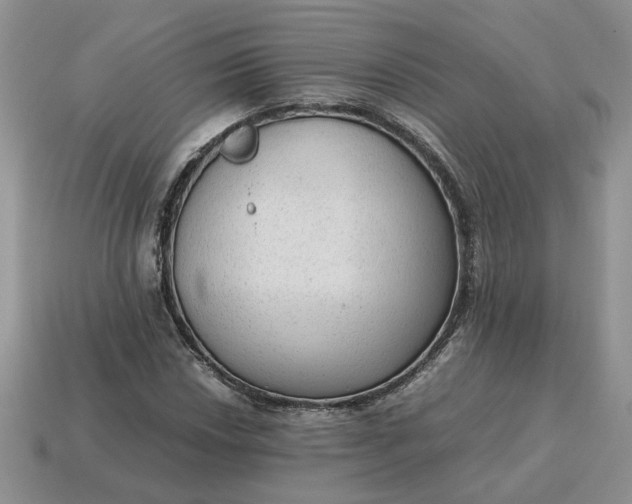 X0000114601018200911091313