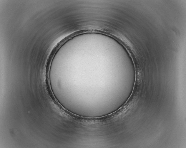 X0000114601020200911091313