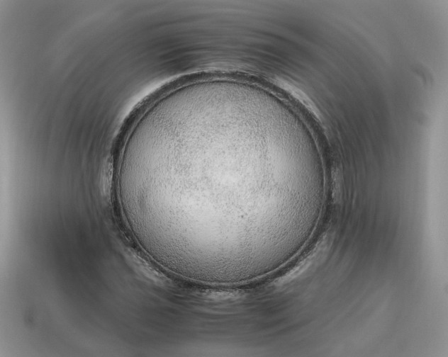 X0000114601021200911091313