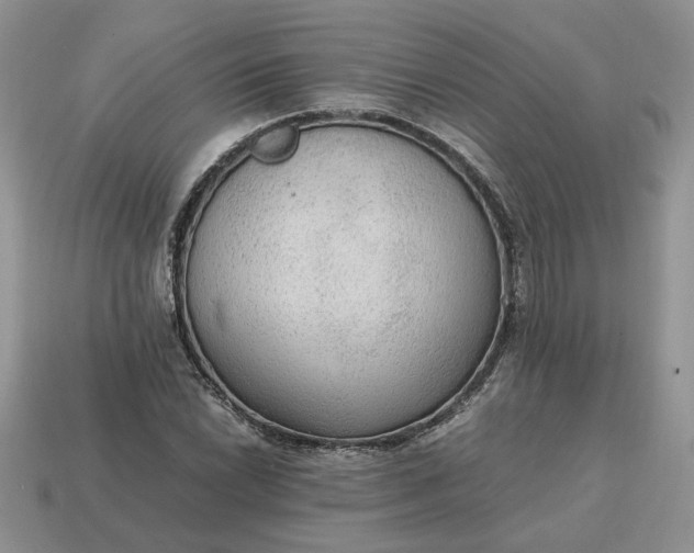 X0000114601022200911091313