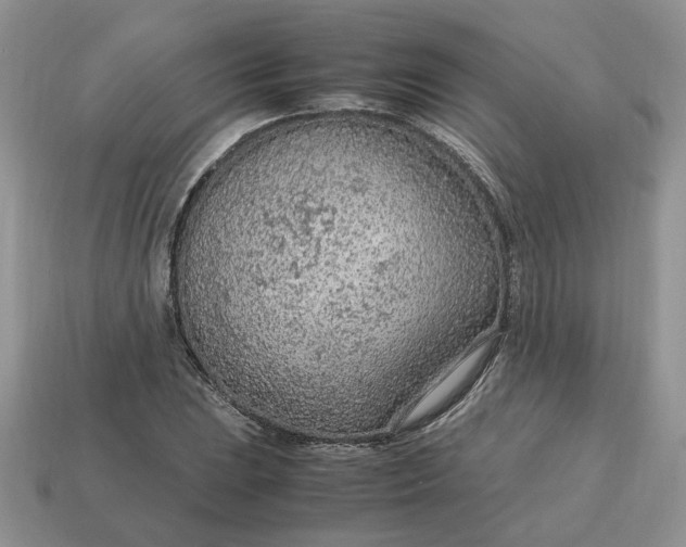 X0000114601023200911091313