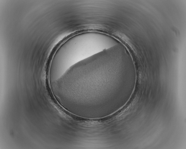 X0000114601024200911091313