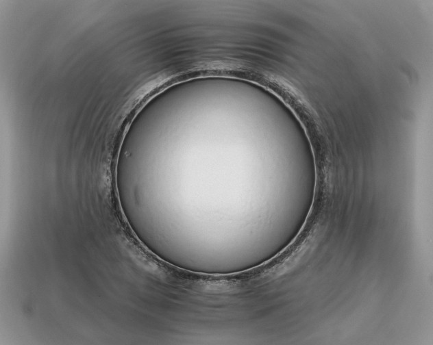 X0000114601025200911091313