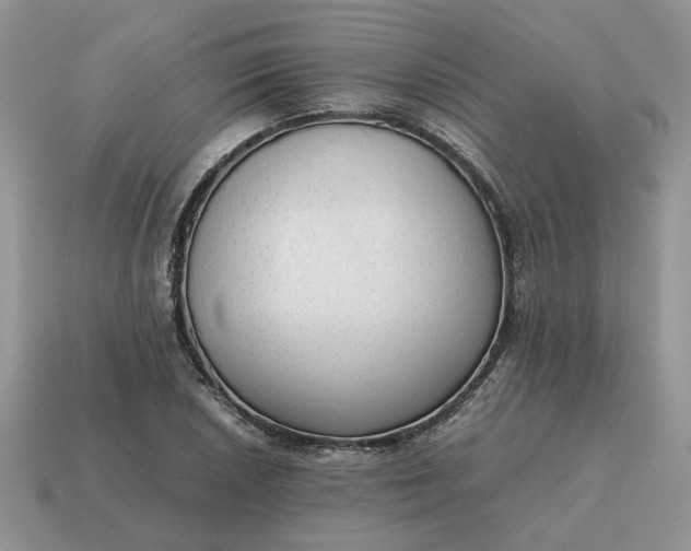 X0000114601026200911091313