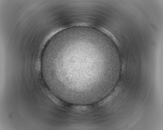 X0000114601027200911091313