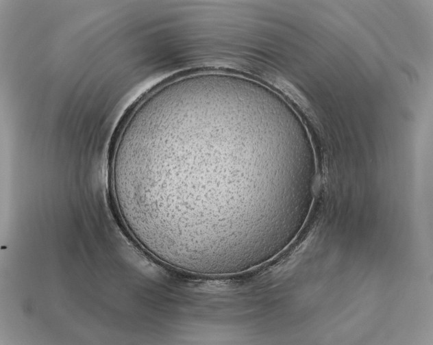 X0000114601028200911091313