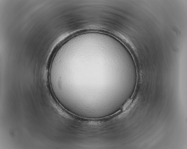 X0000114601029200911091313