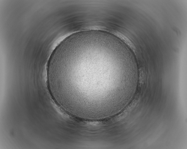 X0000114601031200911091313