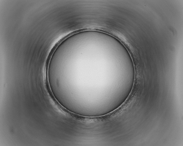 X0000114601032200911091313