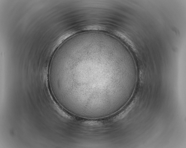 X0000114601033200911091313