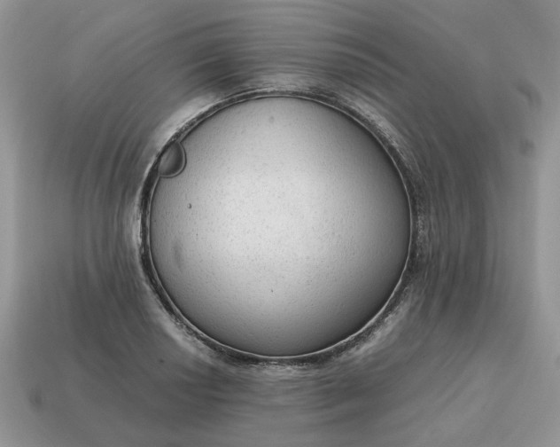 X0000114601034200911091313