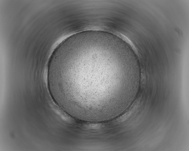 X0000114601035200911091313