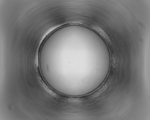 X0000114601036200911091313