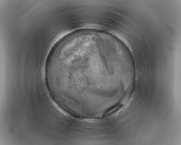 X0000114601037200911091313