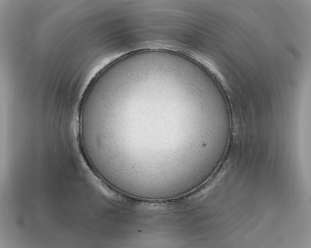 X0000114601040200911091313