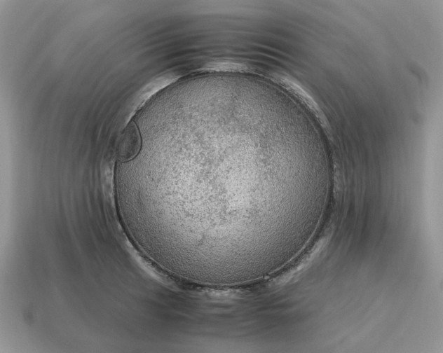 X0000114601041200911091313