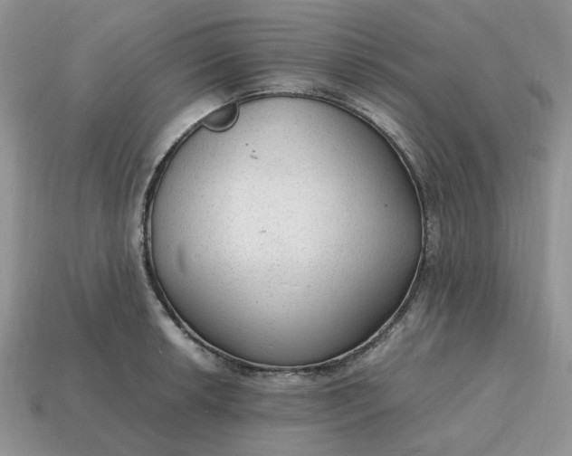 X0000114601042200911091313