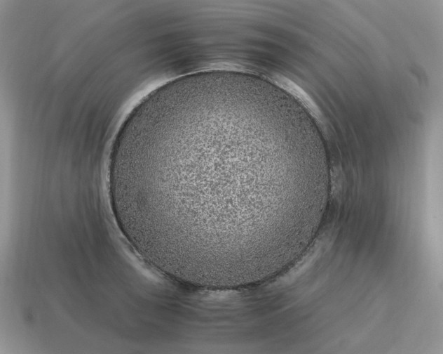 X0000114601043200911091313