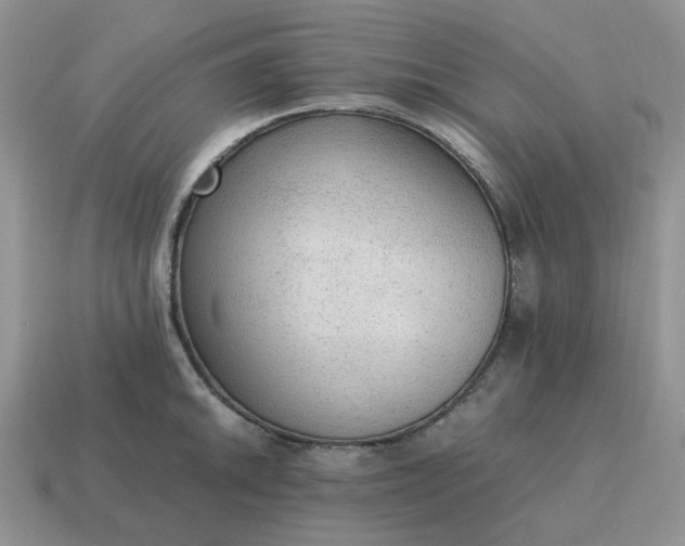 X0000114601046200911091313