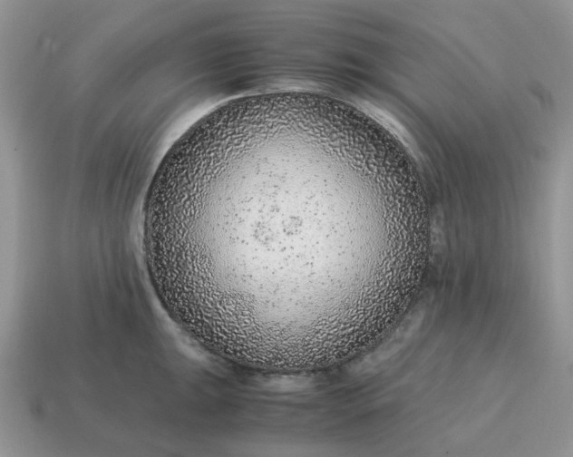 X0000114601047200911091313