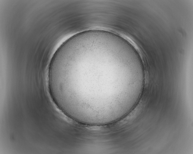 X0000114601048200911091313