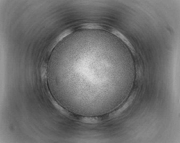 X0000114601049200911091313