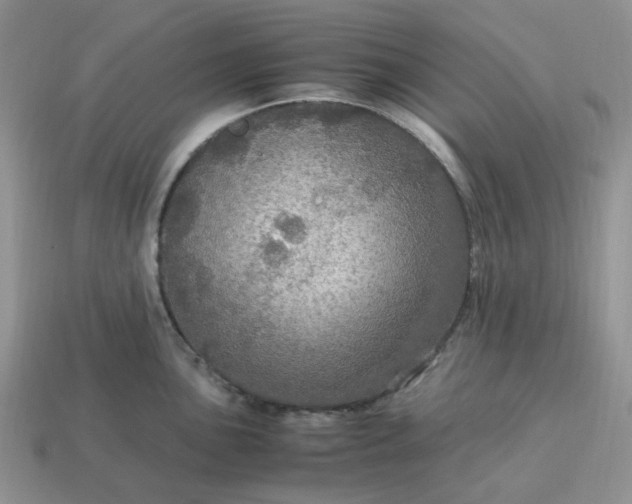 X0000114601051200911091313