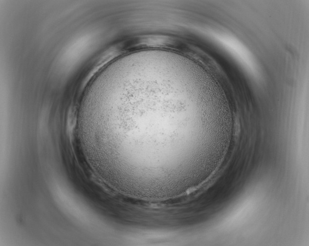 X0000114601052200911091313