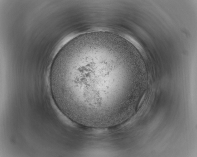 X0000114601055200911091313