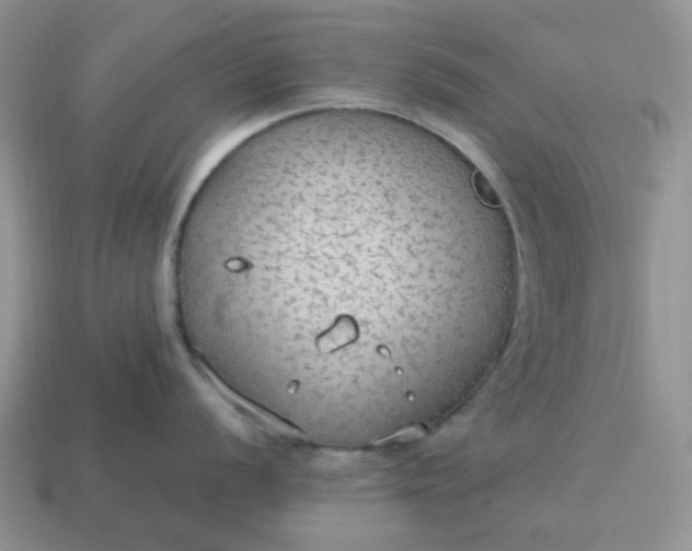 X0000114601056200911091313