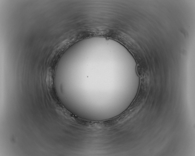 X0000114601058200911091313