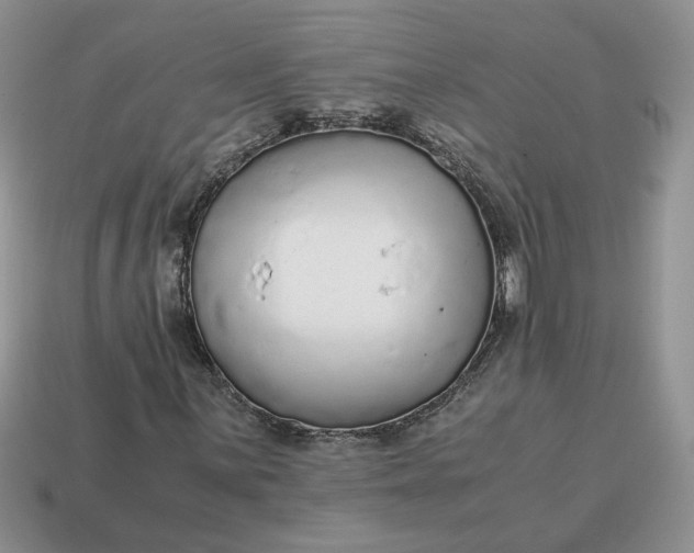 X0000114601059200911091313