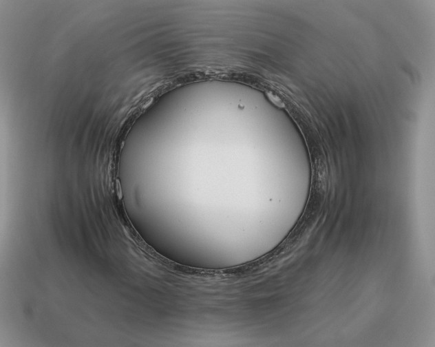 X0000114601060200911091313