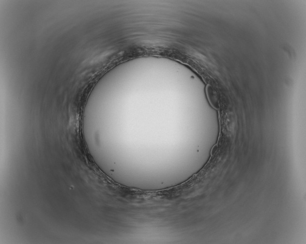 X0000114601061200911091313