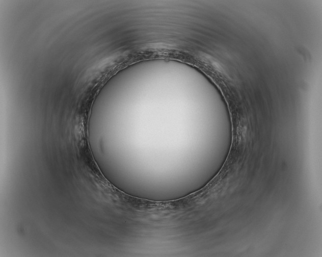 X0000114601062200911091312