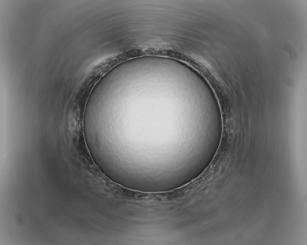 X0000114601063200911091312