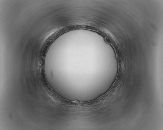 X0000114601064200911091312