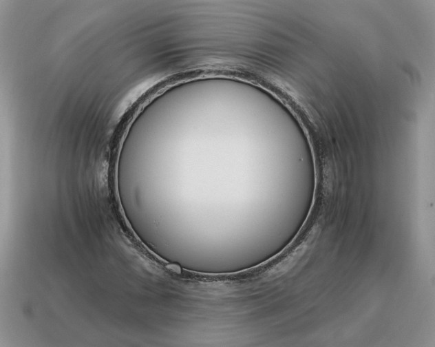 X0000114601066200911091312