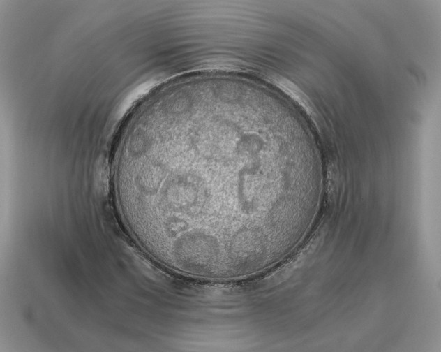 X0000114601067200911091312