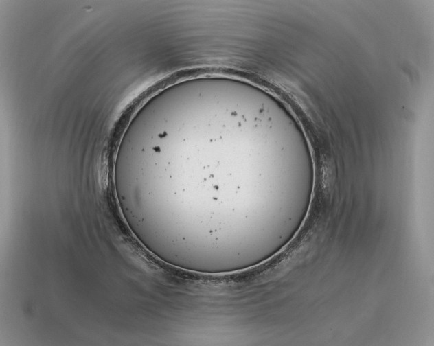 X0000114601069200911091312