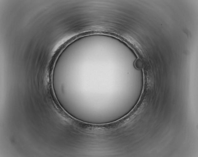 X0000114601070200911091312