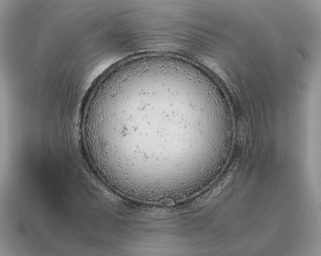 X0000114601071200911091312