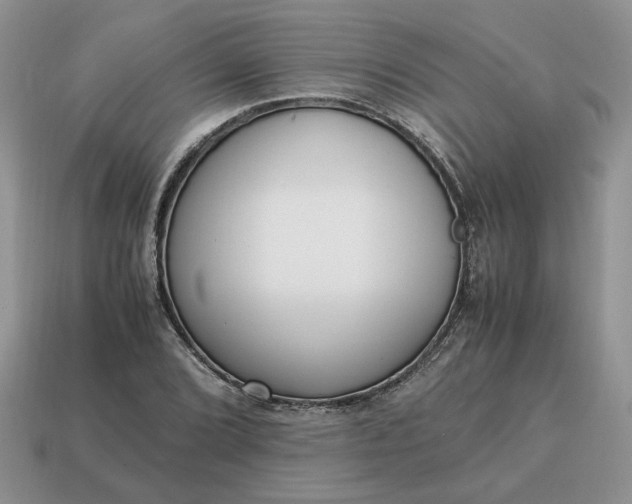 X0000114601072200911091312