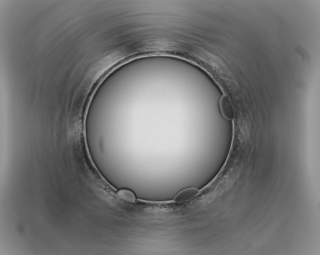 X0000114601073200911091312