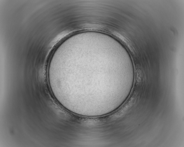 X0000114601074200911091312